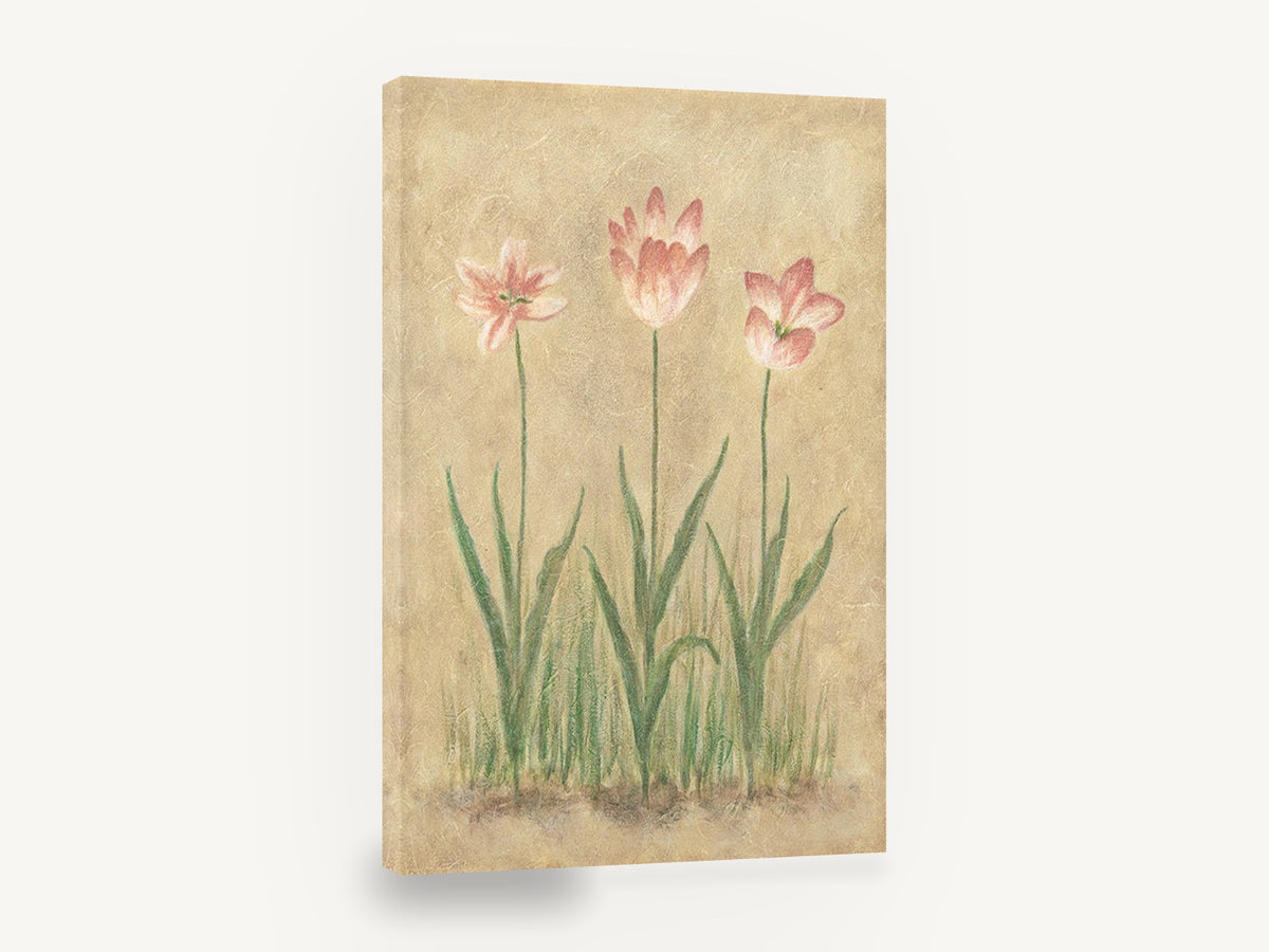 Three Pink Tulips, pink tulips botanical study, floral canvas wall art print ready to hang