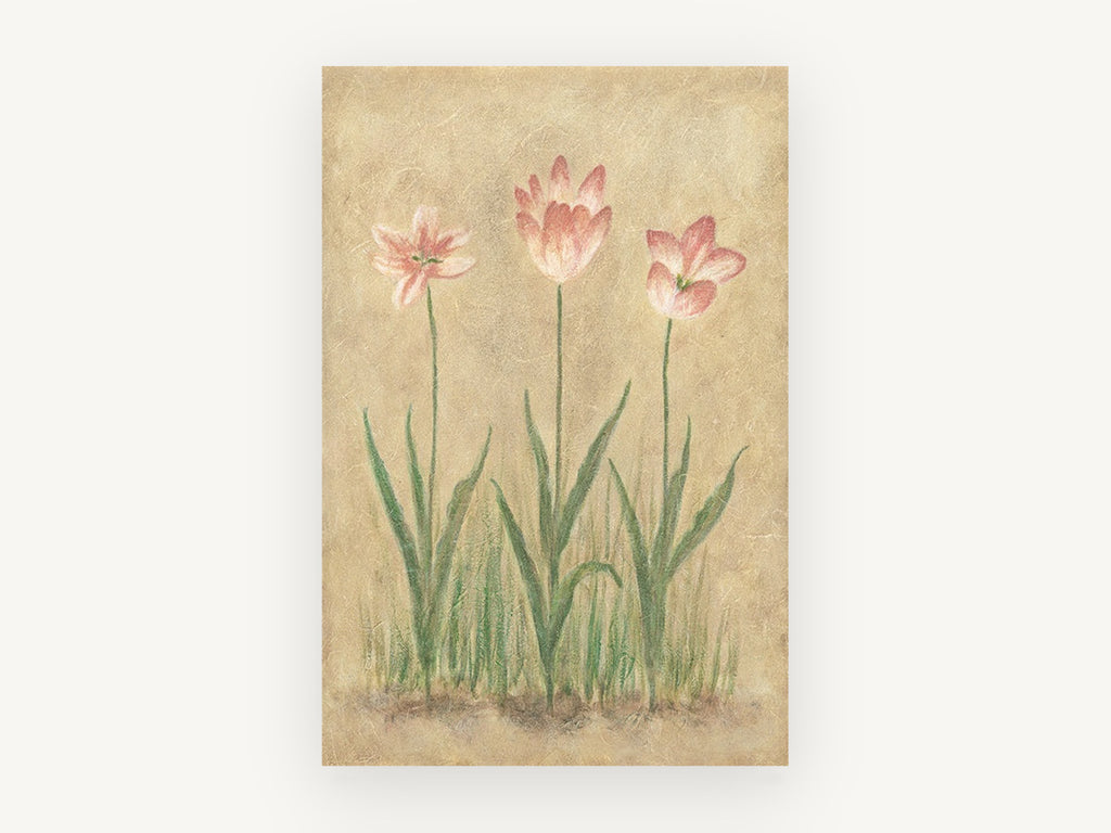 Three Pink Tulips, floral canvas wall art print, front view