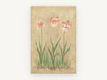 Three Pink Tulips, floral canvas wall art print, front view