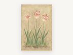 Three Pink Tulips, floral canvas wall art print, front view