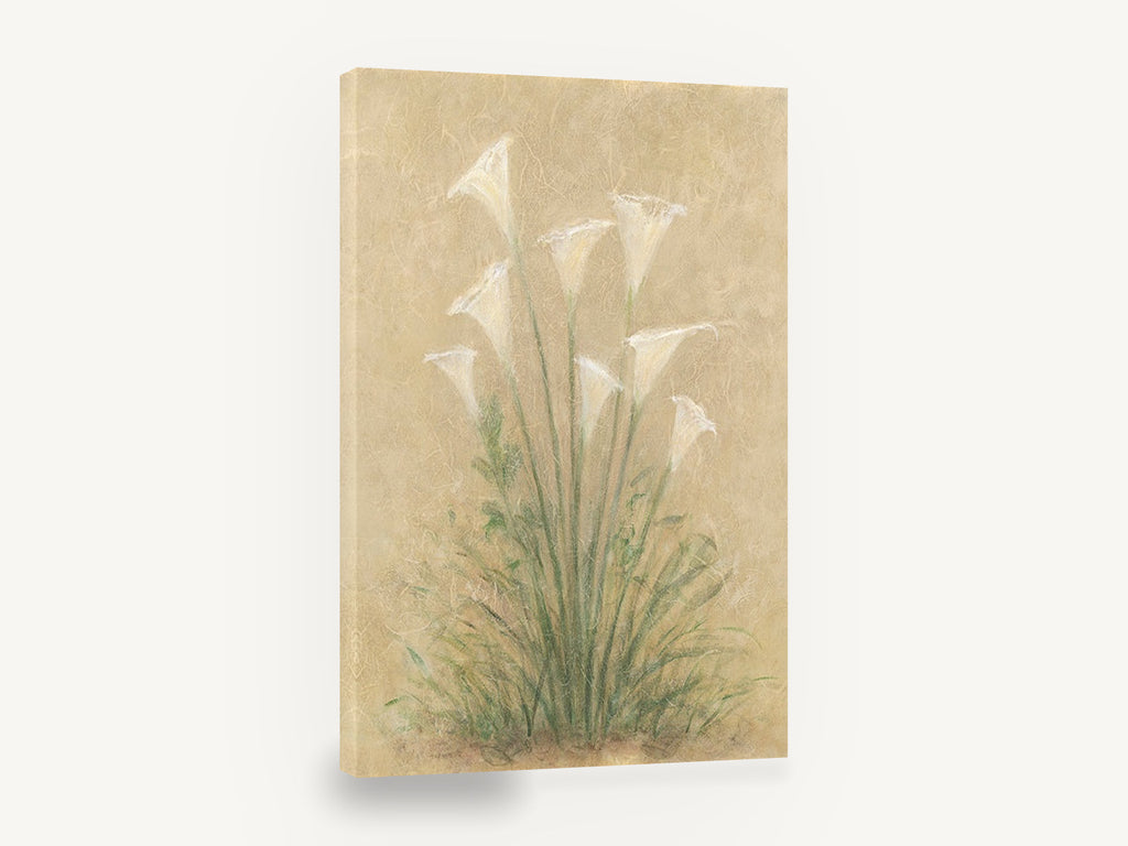 Calla Lily Cluster, white calla lilies textured botanical, floral canvas wall art print ready to hang
