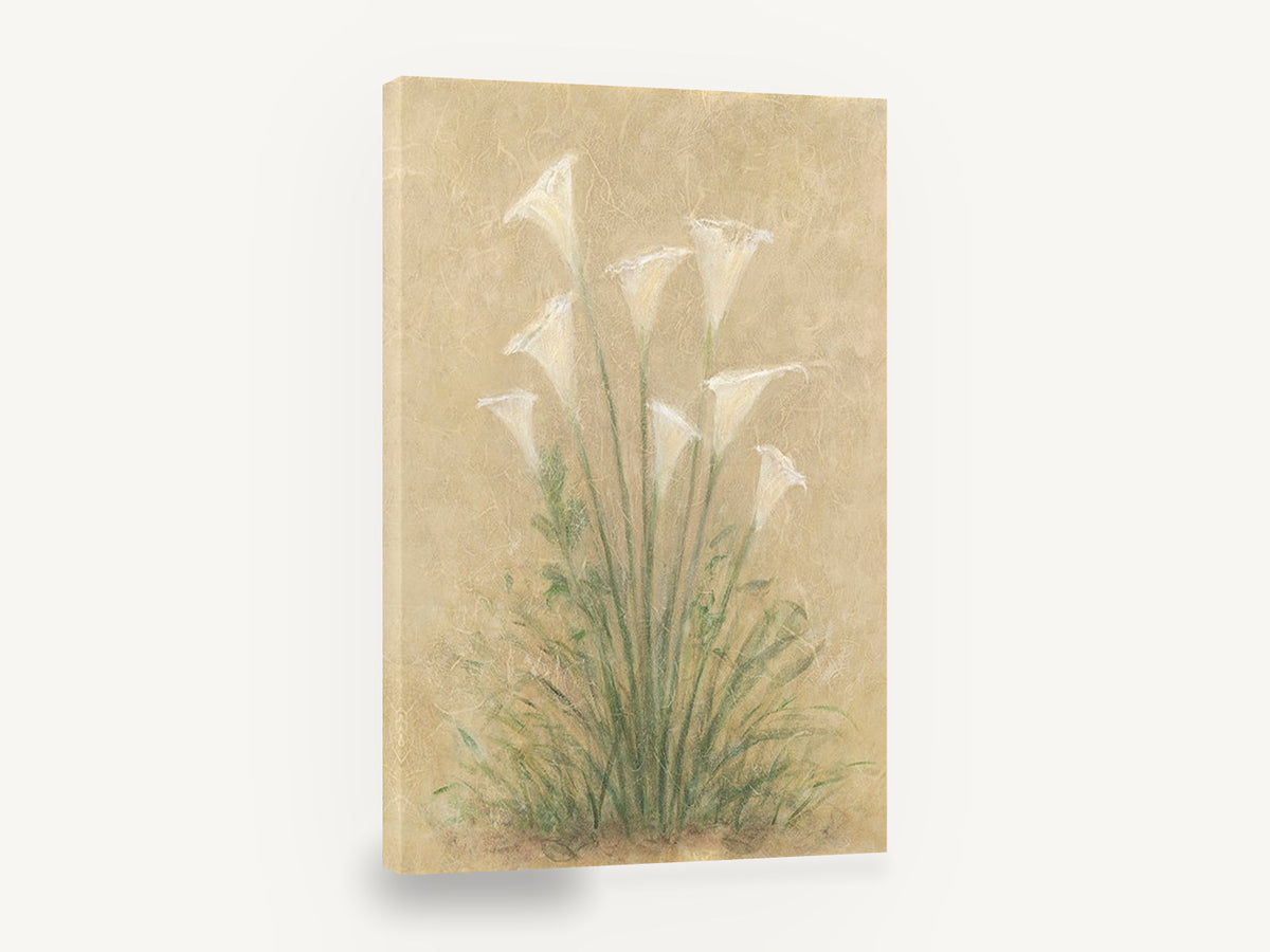 Calla Lily Cluster, white calla lilies textured botanical, floral canvas wall art print ready to hang