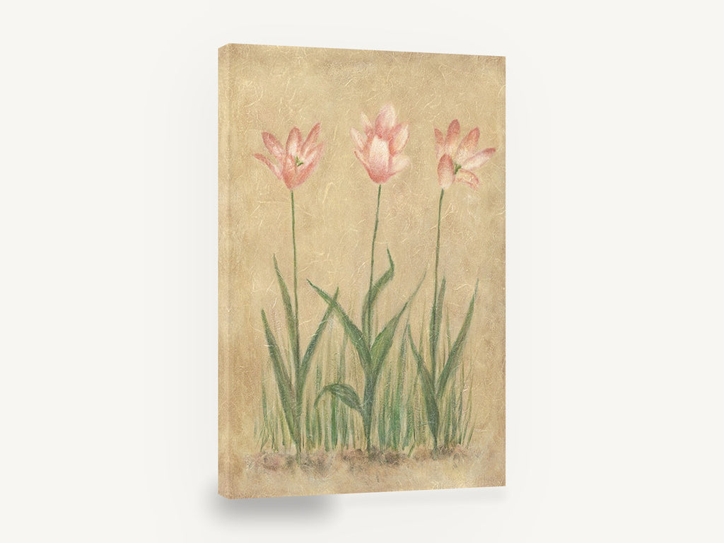 Blushing Tulip Trio, pink tulips vintage botanical painting, floral canvas wall art print ready to hang
