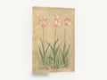 Blushing Tulip Trio, pink tulips vintage botanical painting, floral canvas wall art print ready to hang
