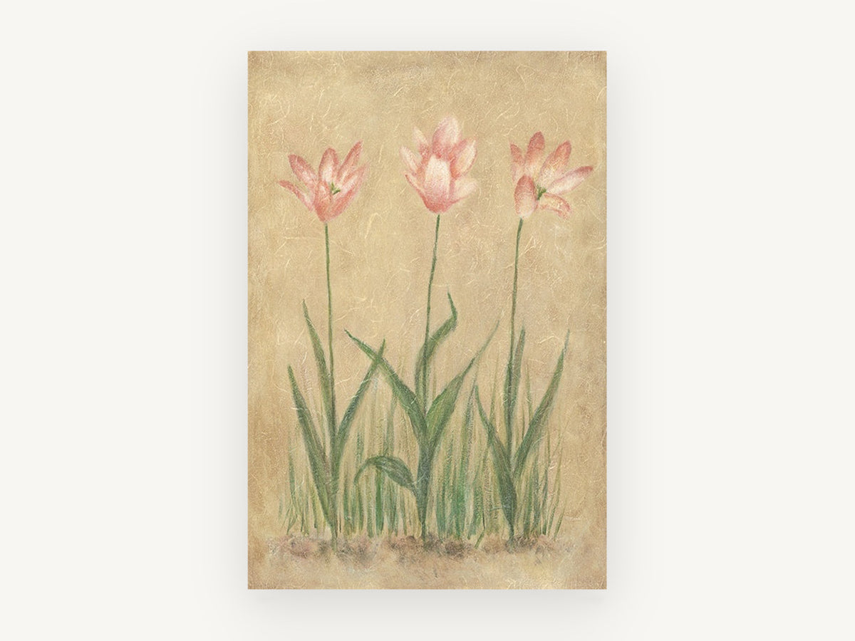 Blushing Tulip Trio, floral canvas wall art print, front view
