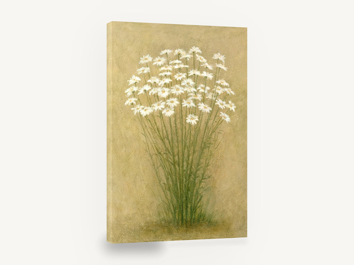 Daisy Cluster on Gold, white daisies textured botanical, floral canvas wall art print ready to hang