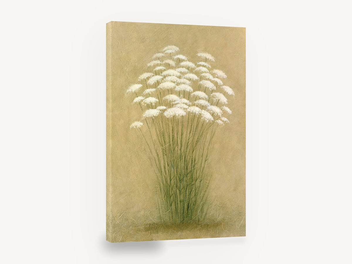 Queen Anne's Lace Cluster, queen anne's lace botanical painting, floral canvas wall art print ready to hang
