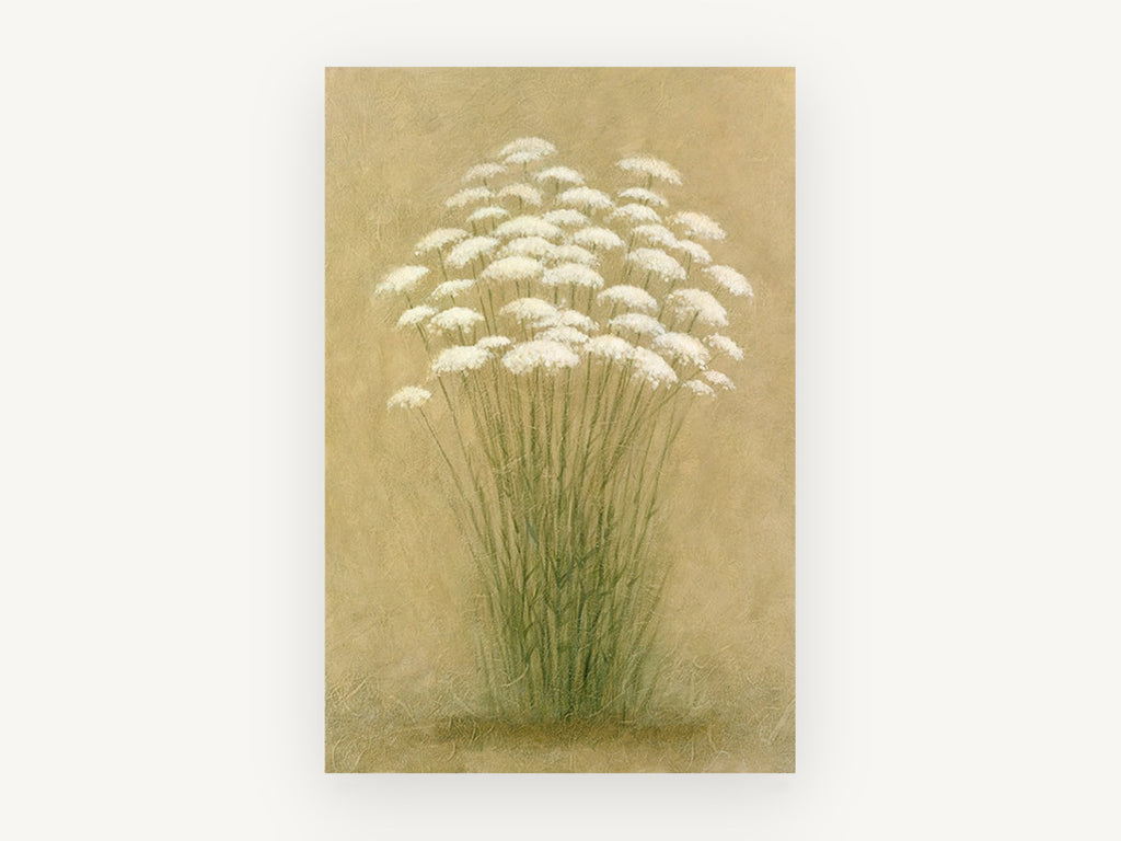 Queen Anne's Lace Cluster, floral canvas wall art print, front view
