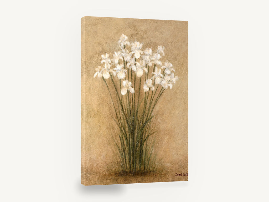 White Irises on Parchment, white iris bunch botanical painting, floral canvas wall art print ready to hang