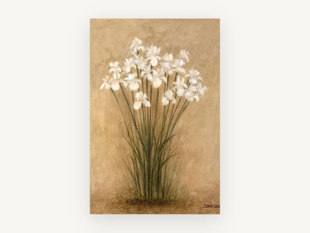 White Irises on Parchment, floral canvas wall art print, front view