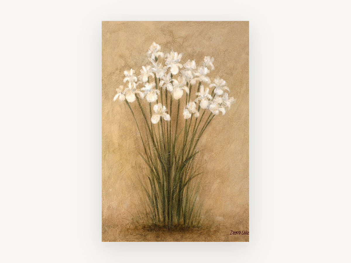 White Irises on Parchment, floral canvas wall art print, front view