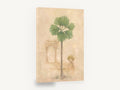 Fan Palm and Arch, fan palm architectural ruin painting, floral canvas wall art print ready to hang