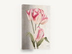 Blush Tulip Trio, pink tulips floral painting grey, floral canvas wall art print ready to hang