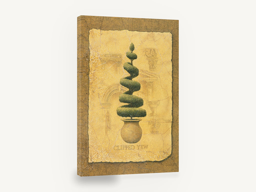 Spiral Yew Topiary, spiral topiary yew vintage botanical, floral canvas wall art print ready to hang