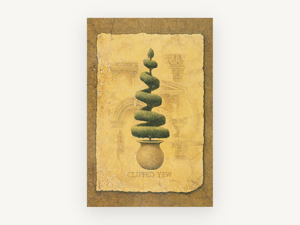 Spiral Yew Topiary, floral canvas wall art print, front view