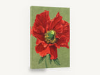 Crimson Poppy Bloom, red poppy botanical illustration on green, floral canvas wall art print ready to hang