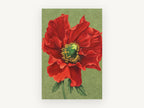 Crimson Poppy Bloom, floral canvas wall art print, front view