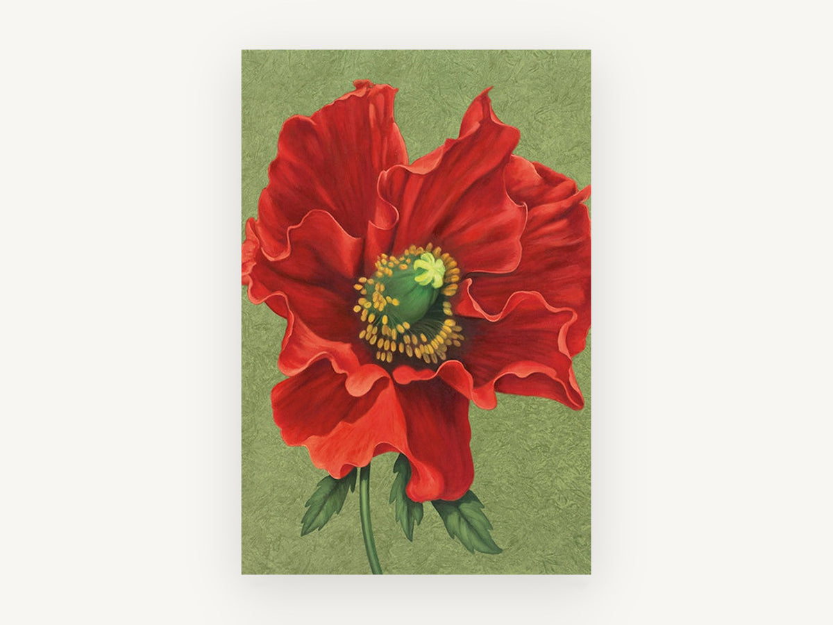 Crimson Poppy Bloom, floral canvas wall art print, front view
