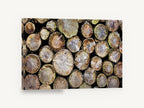 Stacked Log Ends, stacked cut logs close-up photograph, landscape canvas wall art print ready to hang