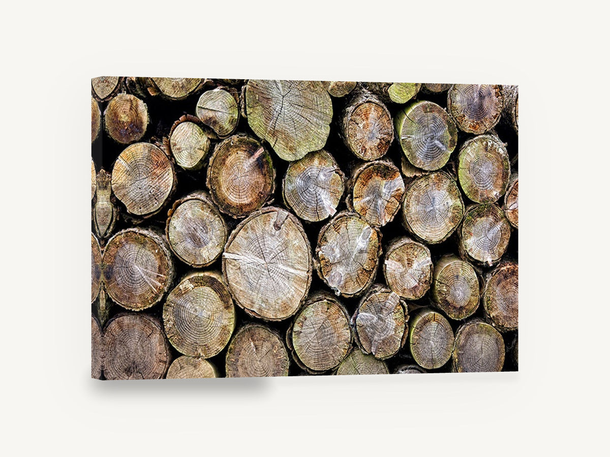 Stacked Log Ends, stacked cut logs close-up photograph, landscape canvas wall art print ready to hang