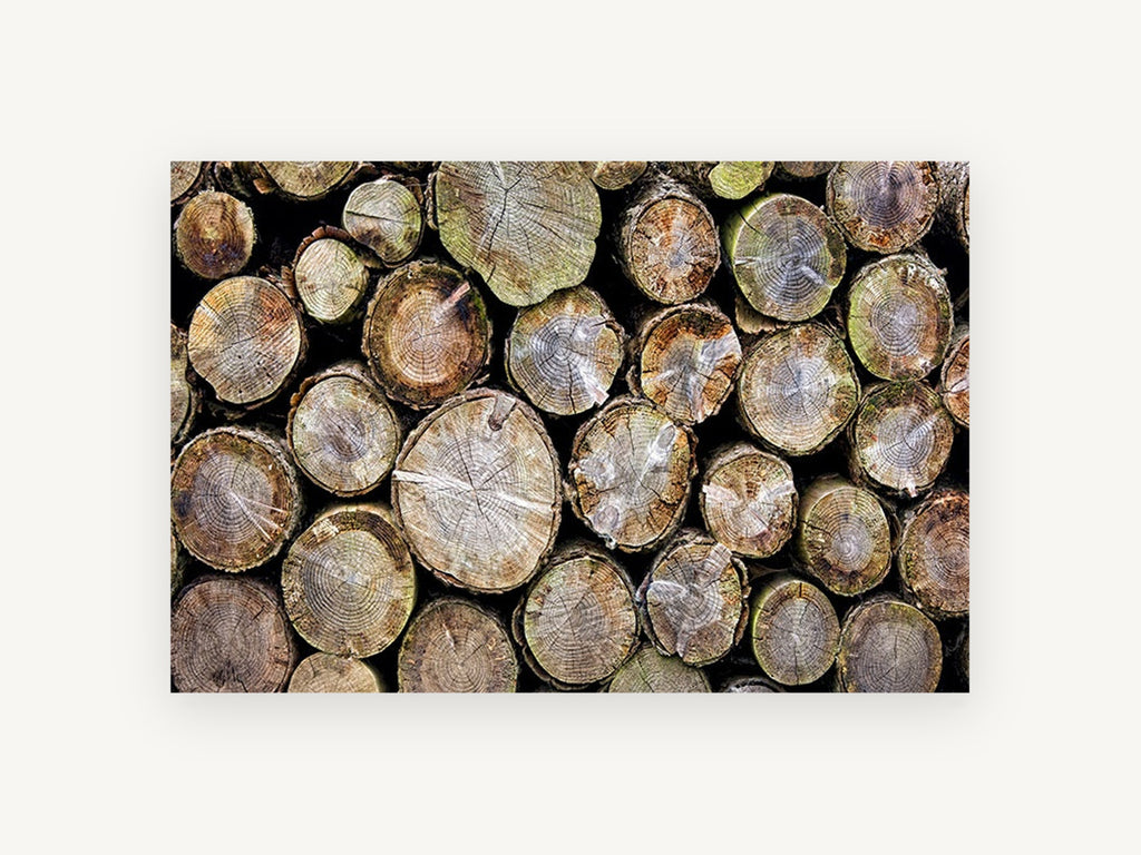 Stacked Log Ends, stacked cut logs close-up photograph, landscape canvas wall art print, front view