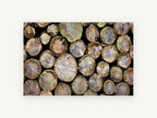 Stacked Log Ends, stacked cut logs close-up photograph, landscape canvas wall art print, front view