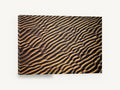 Golden Sand Ripples, rippled beach sand close-up photograph, coastal canvas wall art print ready to hang