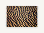 Golden Sand Ripples, coastal canvas wall art print, front view