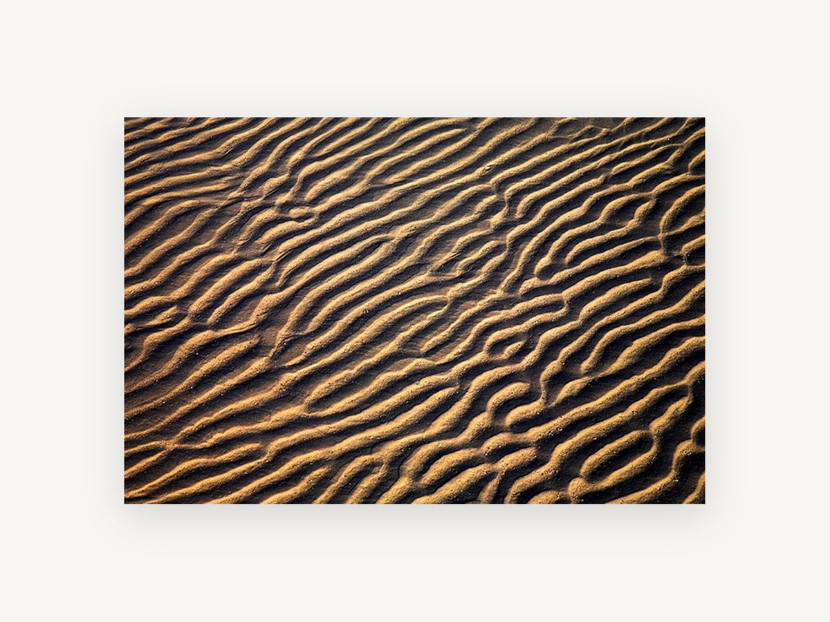 Golden Sand Ripples, coastal canvas wall art print, front view