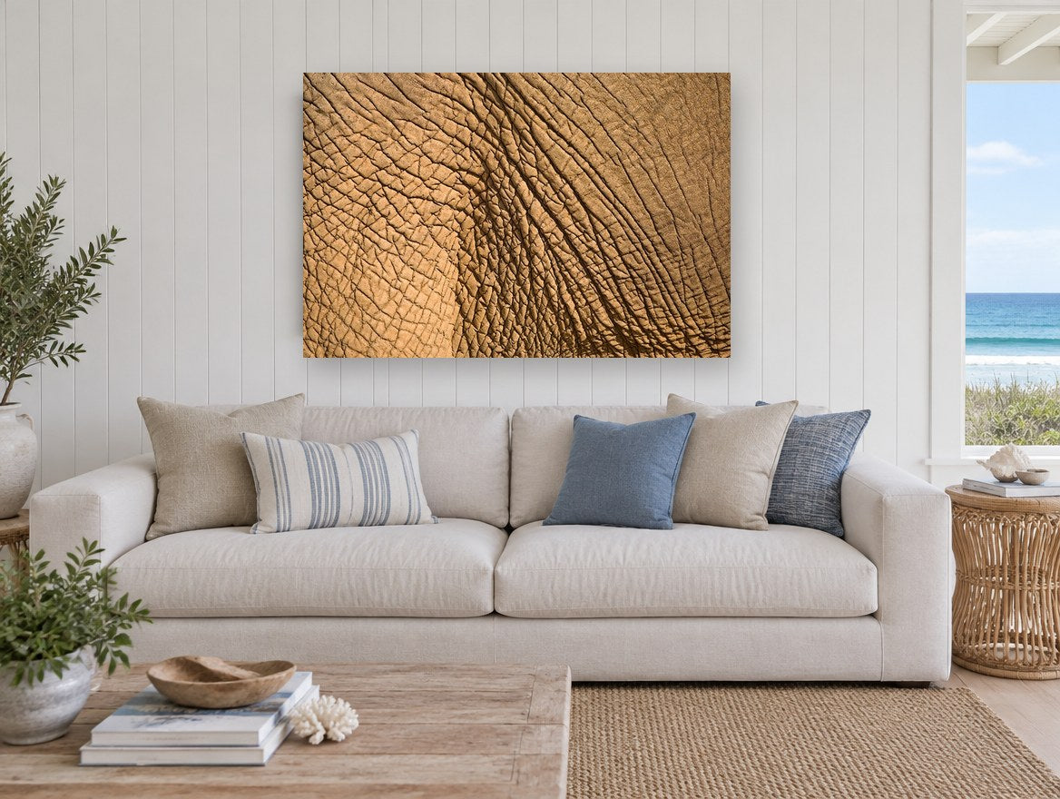 Elephant Hide Close-Up animal canvas print on the wall of a beach house living room