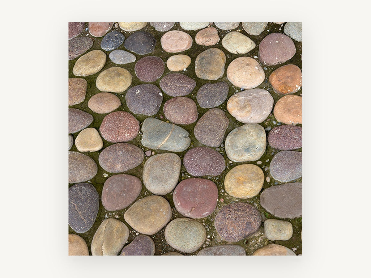 River Stone Cobbles, rounded cobblestone path photograph, landscape canvas wall art print, front view