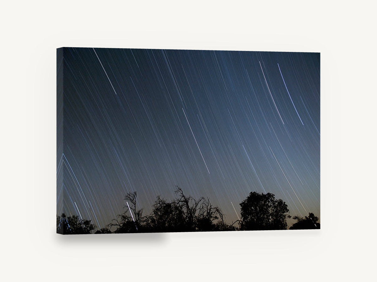 Star Trails Over Treeline, night sky star trails photograph, landscape canvas wall art print ready to hang