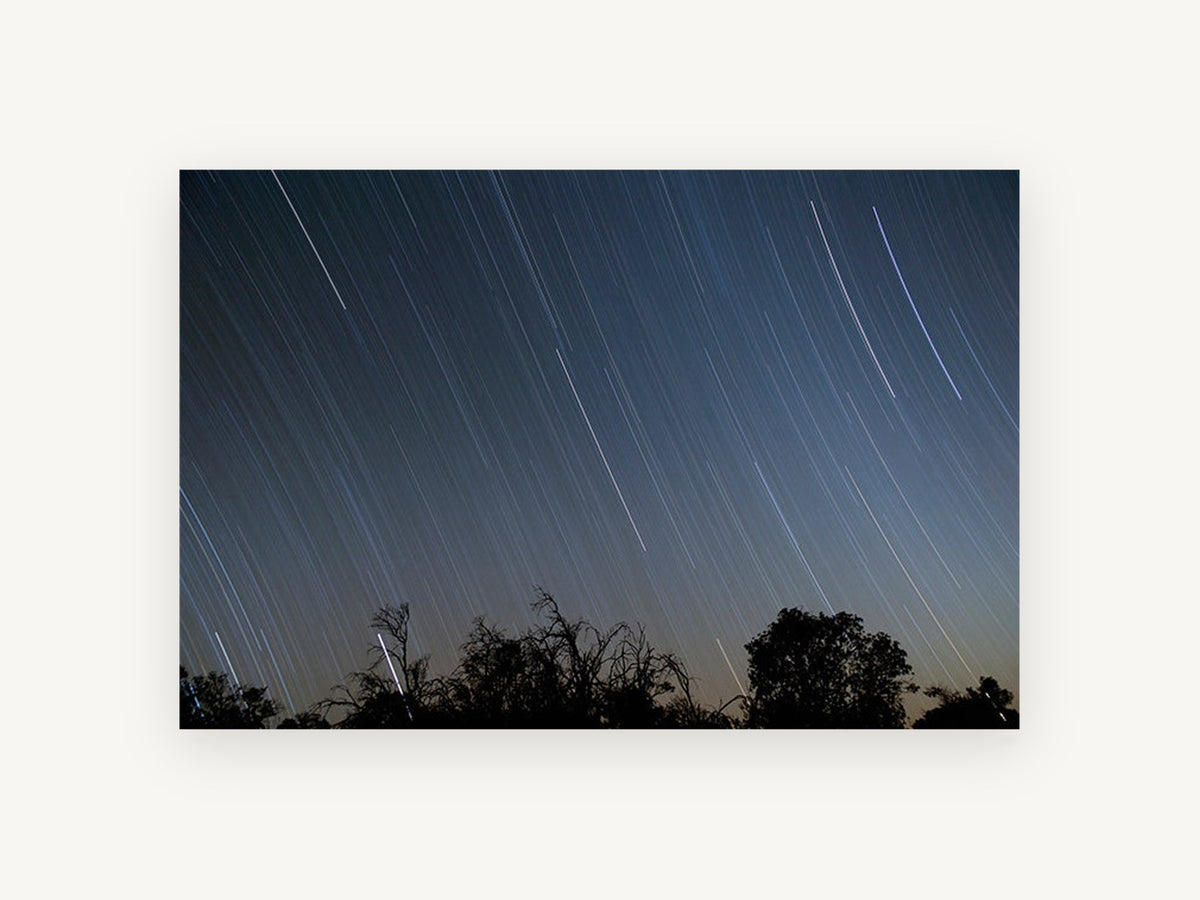 Star Trails Over Treeline, night sky star trails photograph, landscape canvas wall art print, front view