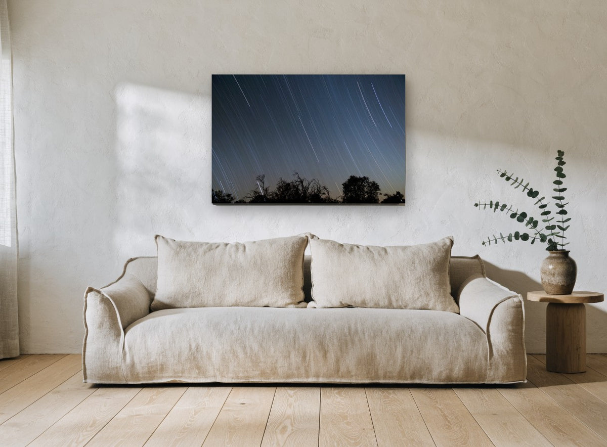 Star Trails Over Treeline landscape canvas print on the wall of a living room
