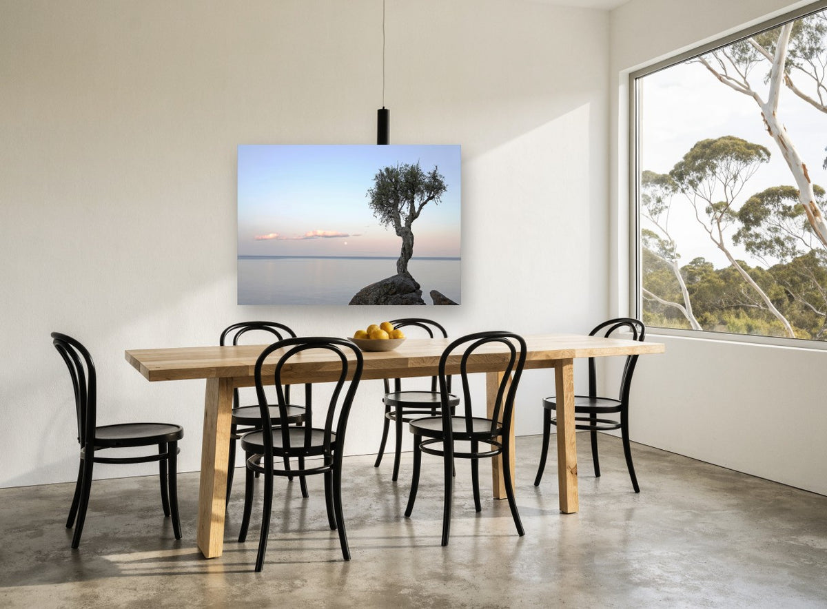 Lone Tree at Moonrise coastal canvas print on the wall of a dining room