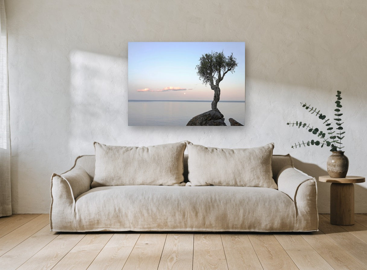 Lone Tree at Moonrise coastal canvas print on the wall of a living room