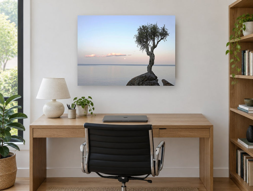 Lone Tree at Moonrise coastal canvas print on the wall of a study