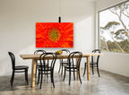 Orange Gerbera Close-Up floral canvas print on the wall of a dining room