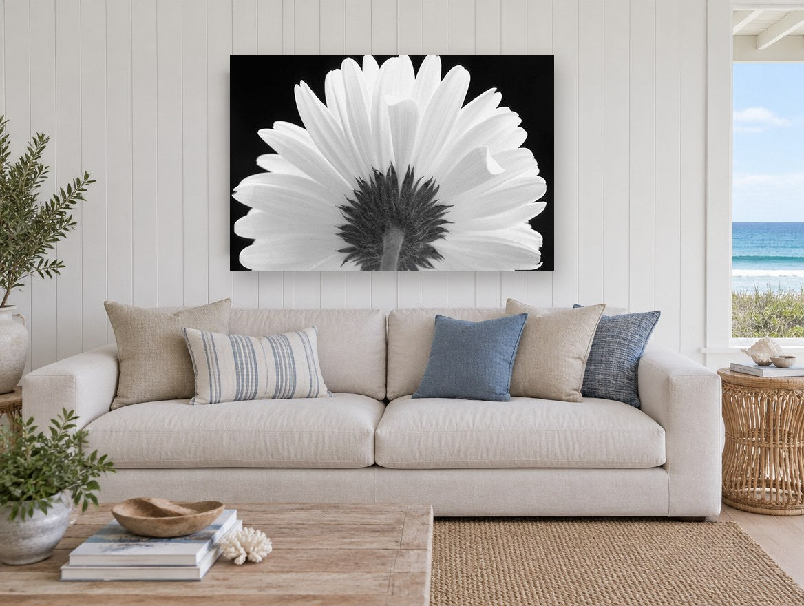 Daisy From Behind floral canvas print on the wall of a beach house living room