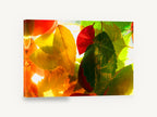 Backlit Autumn Leaves, backlit autumn leaves photograph, floral canvas wall art print ready to hang