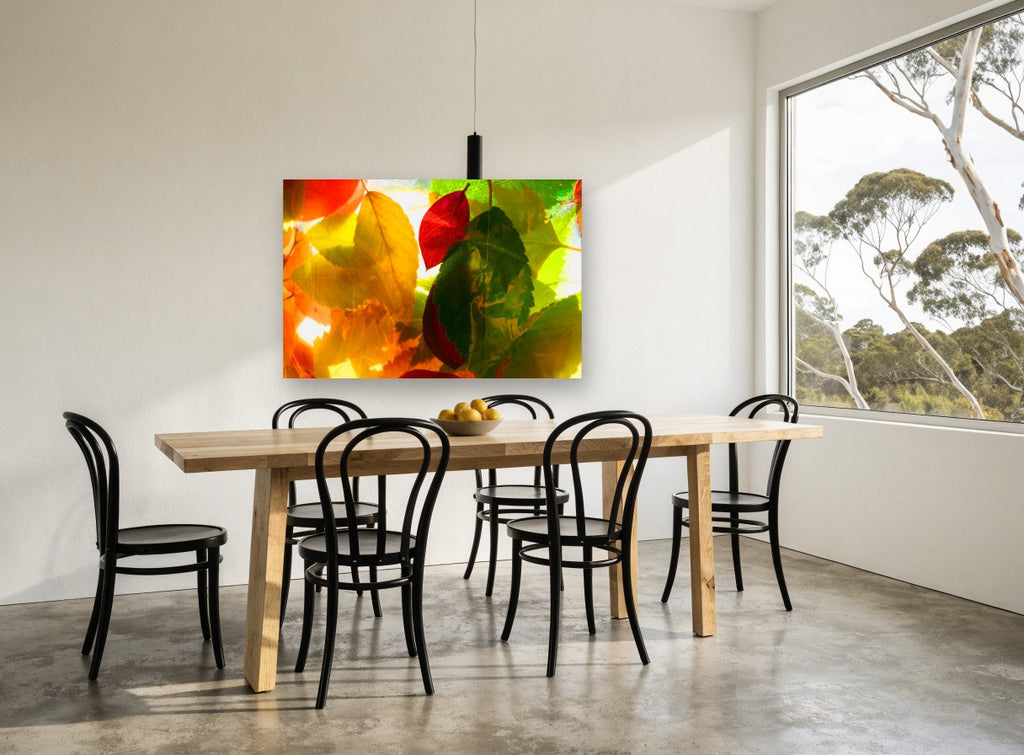 Backlit Autumn Leaves floral canvas print on the wall of a dining room