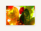 Backlit Autumn Leaves, floral canvas wall art print, front view