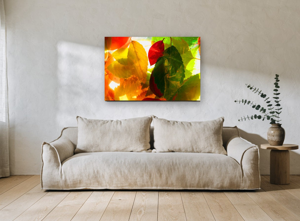 Backlit Autumn Leaves floral canvas print on the wall of a living room