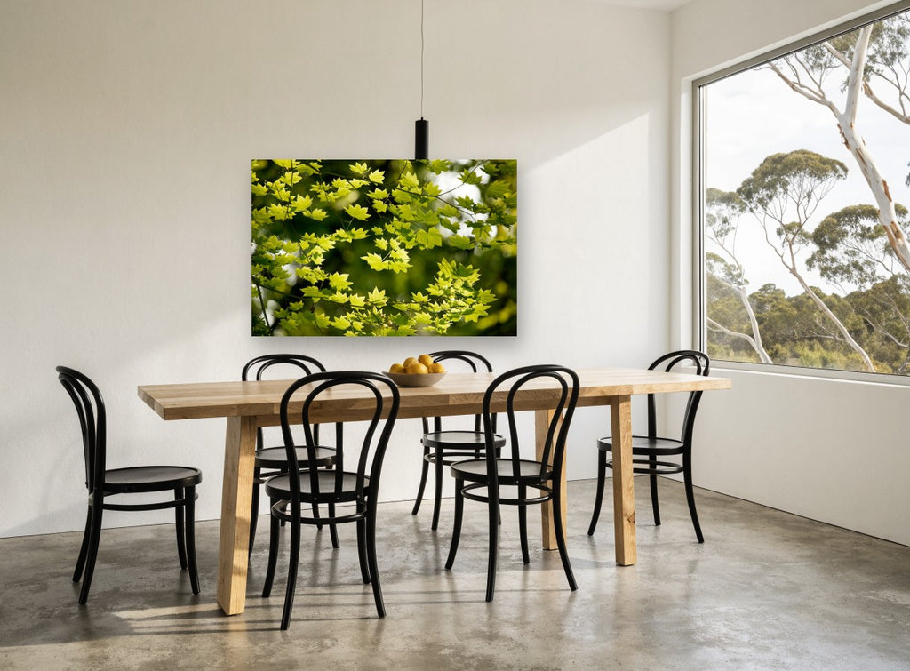 Backlit Maple Canopy floral canvas print on the wall of a dining room