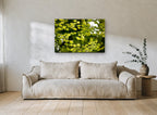 Backlit Maple Canopy floral canvas print on the wall of a living room