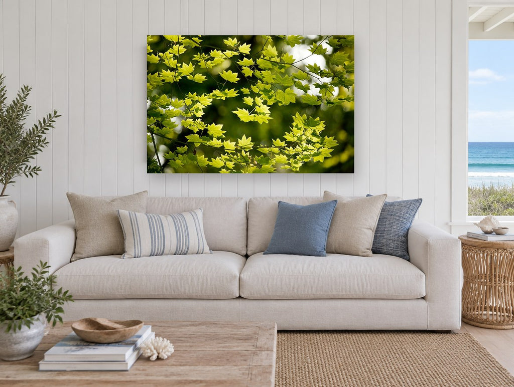 Backlit Maple Canopy floral canvas print on the wall of a beach house living room