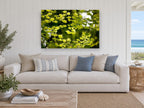 Backlit Maple Canopy floral canvas print on the wall of a beach house living room