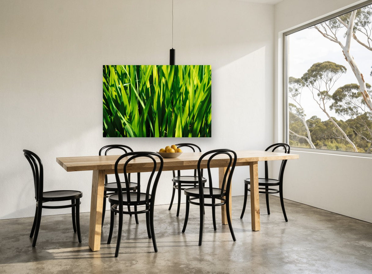 Sunlit Green Blades landscape canvas print on the wall of a dining room