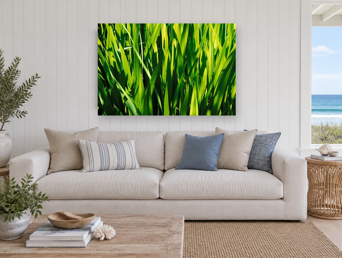 Sunlit Green Blades landscape canvas print on the wall of a beach house living room