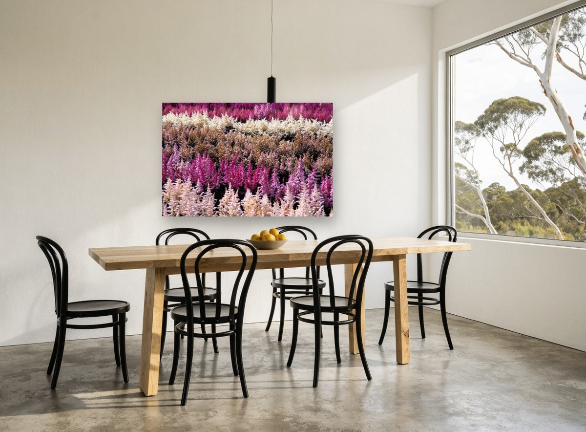 Astilbe Colour Rows landscape canvas print on the wall of a dining room